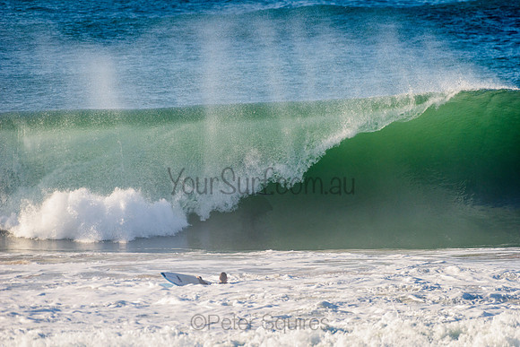 Avalon_210508_082435_0449