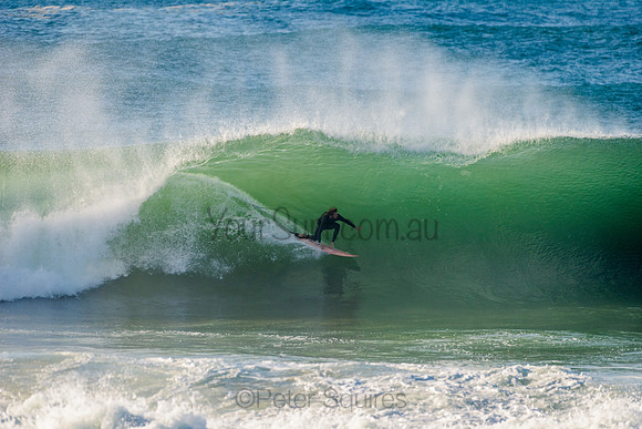 Avalon_210508_082623_0455