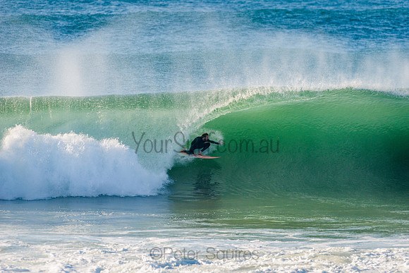 Avalon_210508_082624_0459