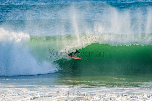 Avalon_210508_082625_0461