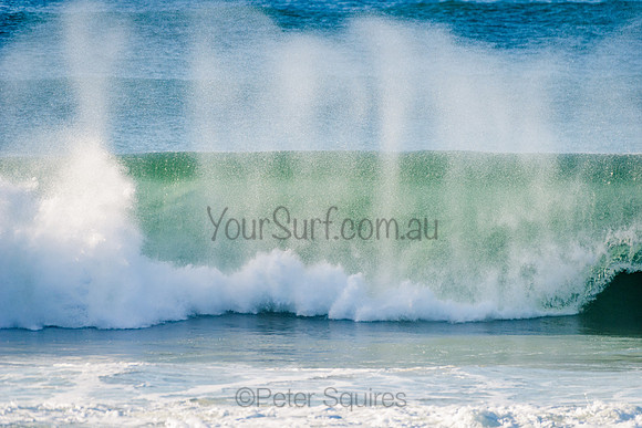 Avalon_210508_082625_0463