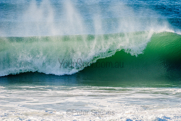 Avalon_210508_082651_0468