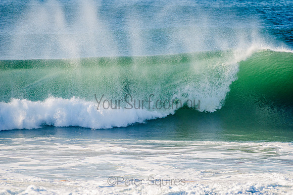 Avalon_210508_082651_0469