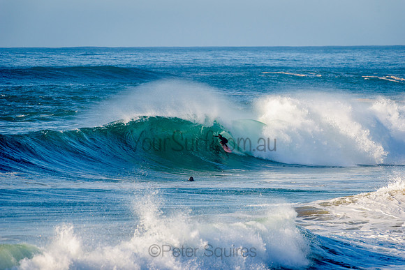 Avalon_210508_082802_0477