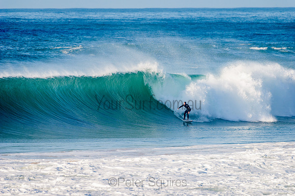 Avalon_210508_082828_0479