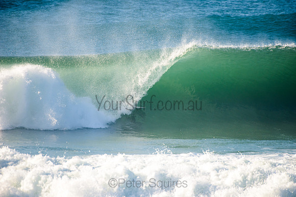 Avalon_210508_083201_0552