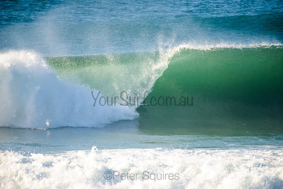 Avalon_210508_083201_0553