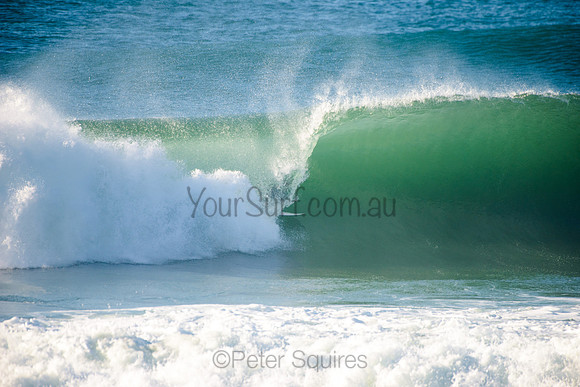Avalon_210508_083202_0554