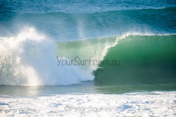 Avalon_210508_083203_0560