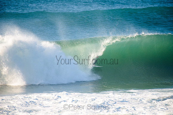 Avalon_210508_083203_0561