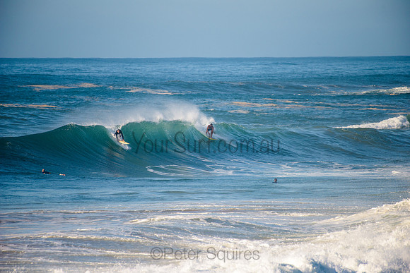 Avalon_210508_083253_0564
