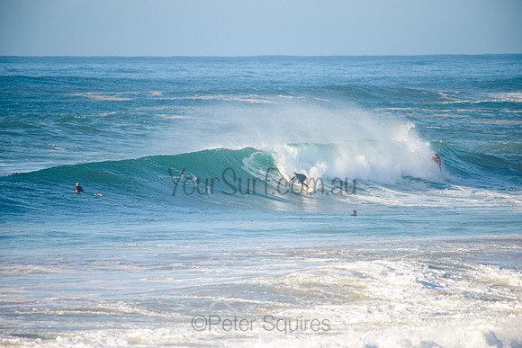 Avalon_210508_083254_0565