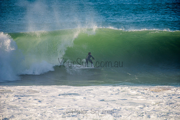 Avalon_210508_083528_0576