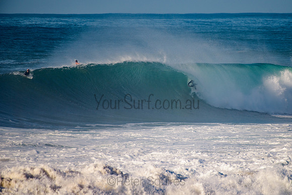 Avalon_210508_083559_0582