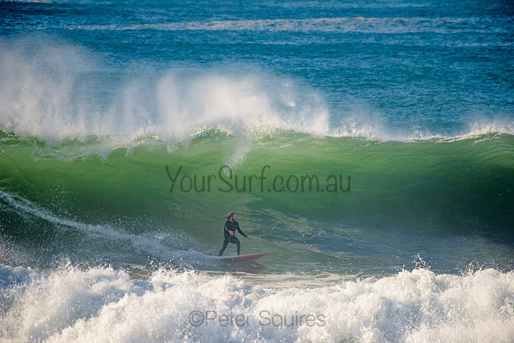 Avalon_210508_083611_0586