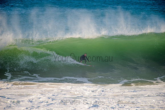 Avalon_210508_083624_0590