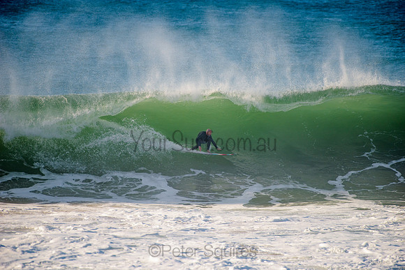 Avalon_210508_083624_0591