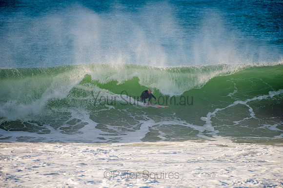 Avalon_210508_083624_0592