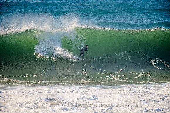 Avalon_210508_083736_0596