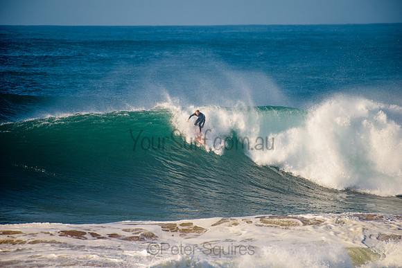 Avalon_210508_083836_0608