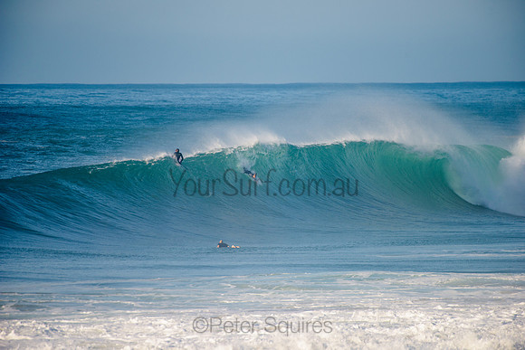 Avalon_210508_083909_0620