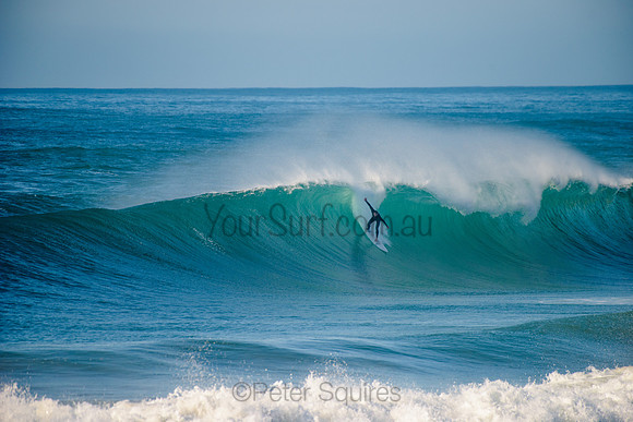 Avalon_210508_084116_0638