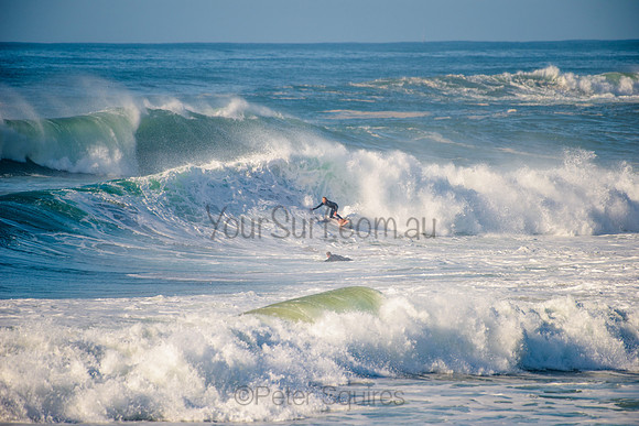 Avalon_210508_084132_0645