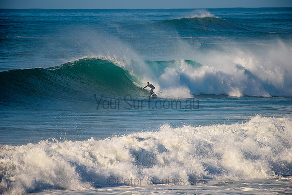 Avalon_210508_084303_0654