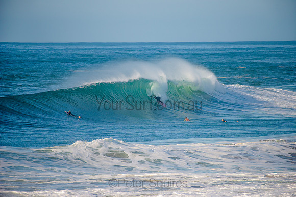 Avalon_210508_084359_0659