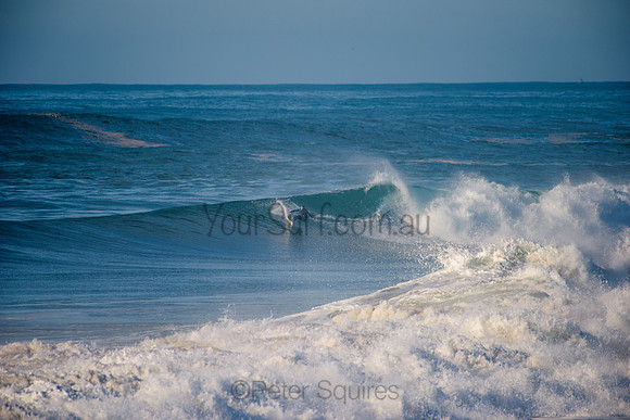 Avalon_210508_084538_0664