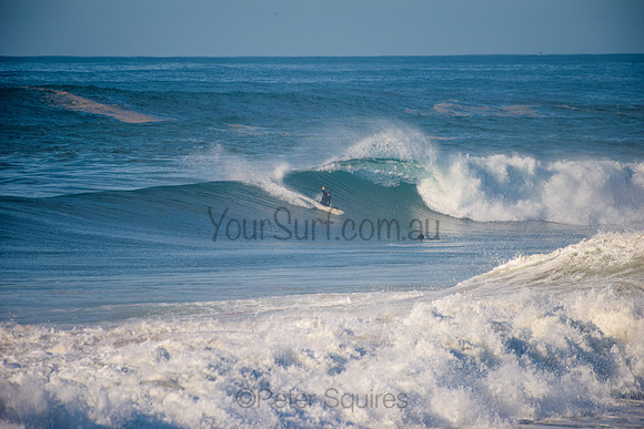 Avalon_210508_084539_0665