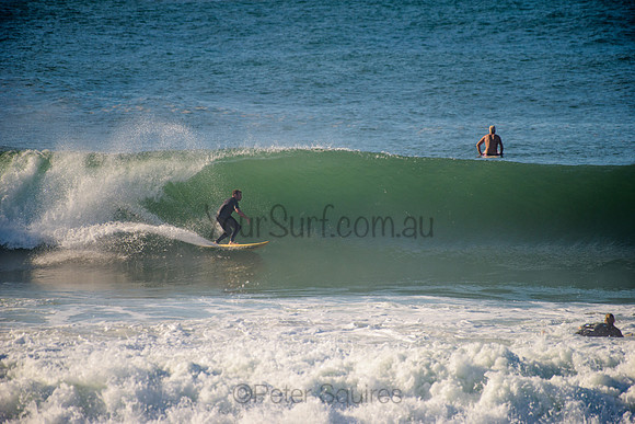 Avalon_210508_085658_0710