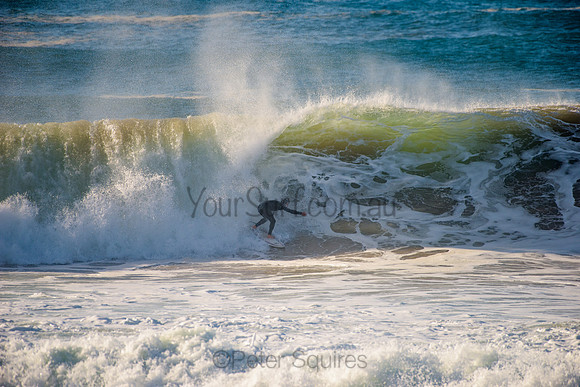 Avalon_210508_084009_0631
