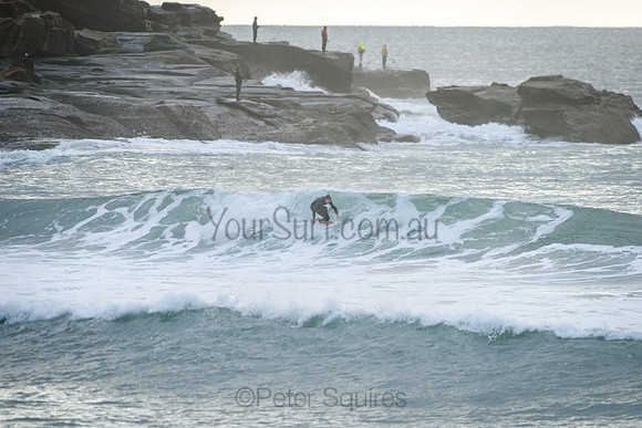 Whale Beach_210511_075640_0071