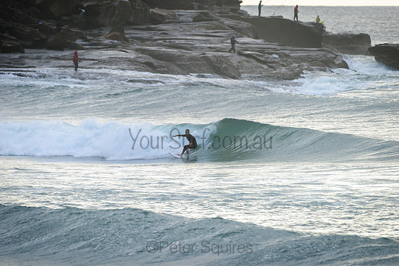 Whale Beach_210511_080026_0080