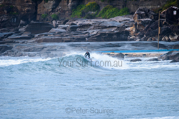 Whale Beach_210511_080305_0089