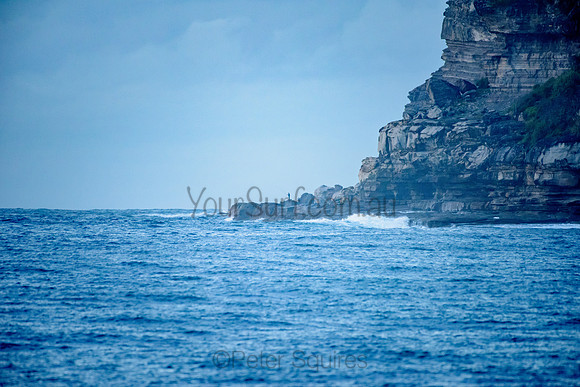 Whale Beach_210512_070827_0040