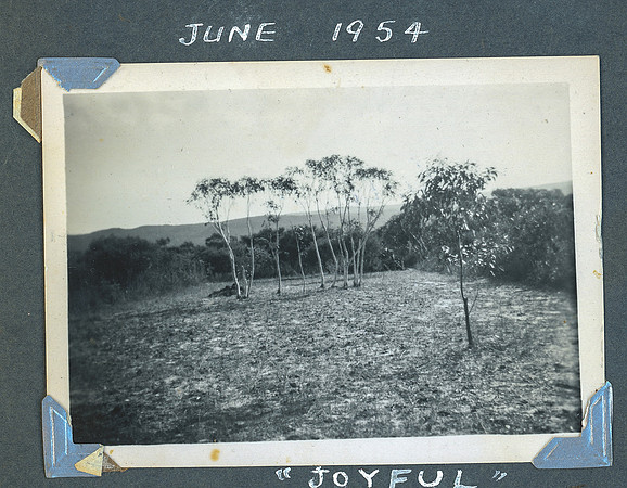 Joy_and_Geoff_old_photos-0044