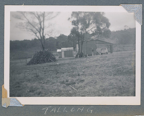 Joy_and_Geoff_old_photos-0139