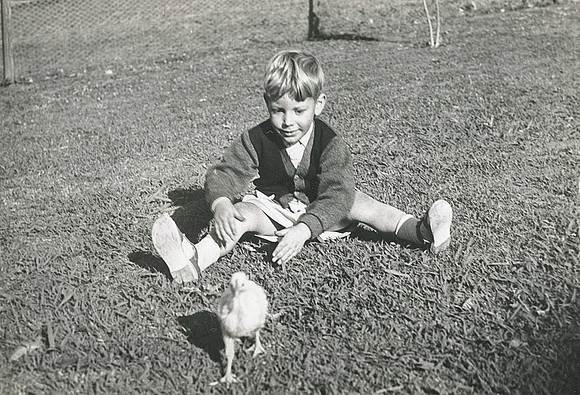 Image 017