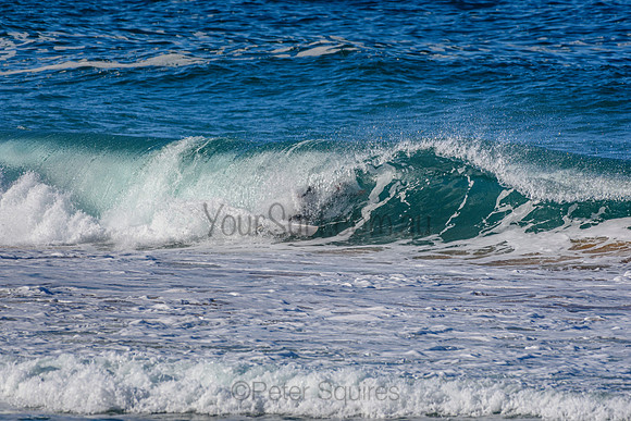 Whale Beach_210527_141356_0028