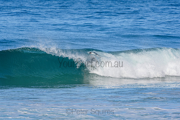 Whale Beach_210527_141507_0034