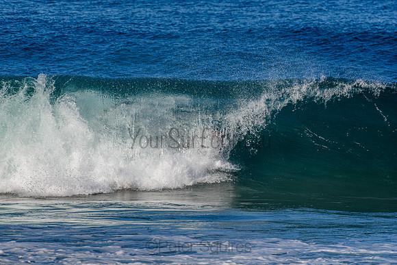 Whale Beach_210527_144029_0151