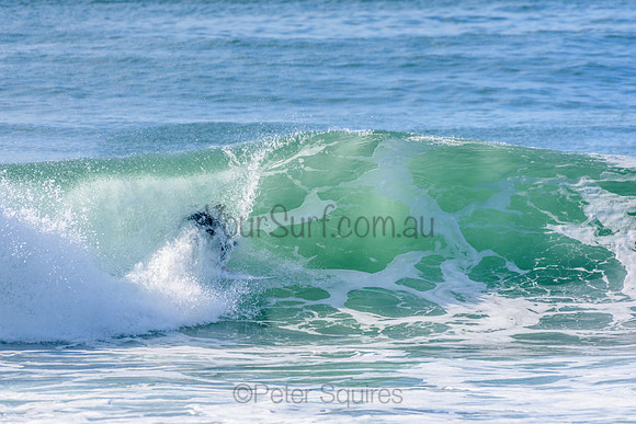 Palm_Beach_210529_103649_0240