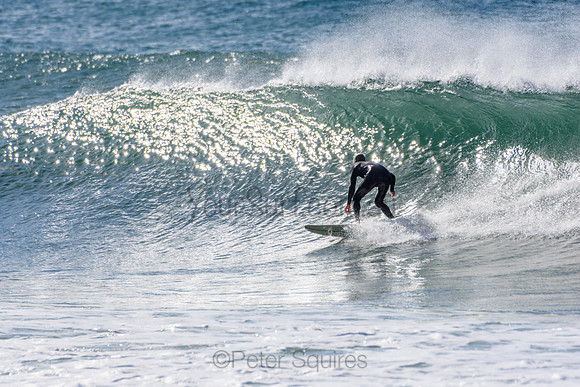 Palm_Beach_210529_104419_0295