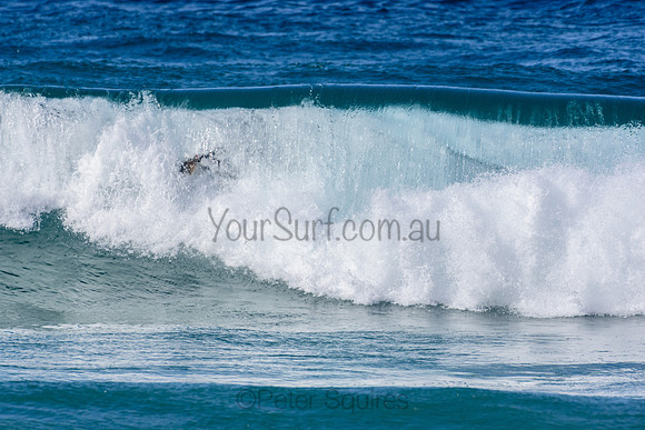 Whale Beach_210530_114416_0180