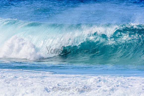 Whale Beach_210530_121540_0414