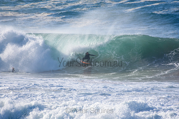 Avalon_210531_091012_0160