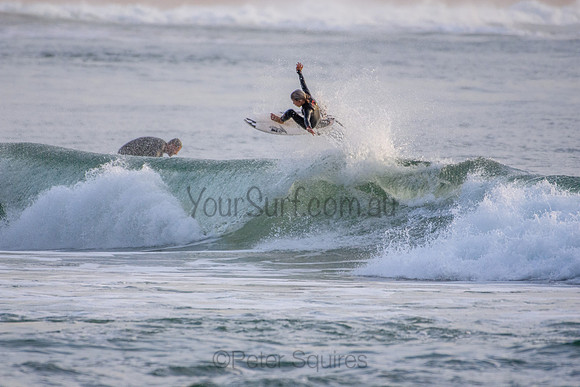 Palm_Beach