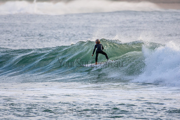Palm_Beach